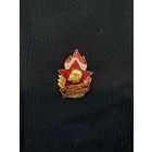 За активную работу с пионерами