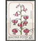 Венгрия. Лилия кудреватая. 1985г. Mi#3789.