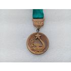 Медаль (тяжёлая)