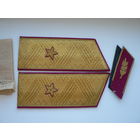 Погоны генерал-майора парадные (+петлицы)