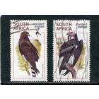 ЮАР. Фауна. Хищные птицы