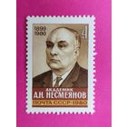 СССР.  Памяти А. Н. Несмеянова (1899 - 1980). ( 1 марка ) 1980 года. 8-15.