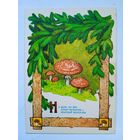 1956. Дудников. Мухомор