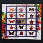 Бабочки насекомые фауна      БЛОК сто