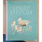 Наши птицы. Виталий Бианки. Большой формат 1983 год. Иллюстрации федотова