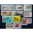 Фауна \50фа\  ТИГР ЛИСА ВОЛК 13шт