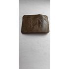 Пряга РИ гимназиста