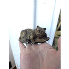 Лот С 1 РУБЛЯ! много лотов! Сувенирная фигурка Чеширский котик (старое золото)