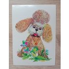 Манилова 1982 чистая