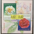 Болгария 2010. Флора. Пион  блок (4937)