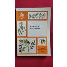 Пакрытанасенныя // Серия: Наша прырода