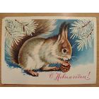 С Новым годом 1980 Достян  Белочка Подписана