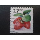 США 1999 стандарт, клубника