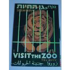 Иудаика. Израильская открытка.