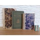 Антикварные книги лотом. 3 шт. С 1 руб! 3 дня!