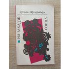Яўгенія Пфляўмбаўм. На захадзе сонца