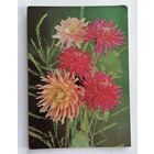 Открытка из СССР 1988г, подписанная.