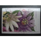 США 2013 цветы