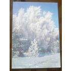 1989 год В.Дорожинский С Новым Годом