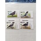 Беларусь   2024 4 м.  птицы