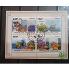 МОРСКИЕ ОБИТАТЕЛИ КРАБЫ АМАРЫ БЛОК сто