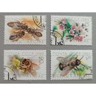 Пчелы. СССР, 1989