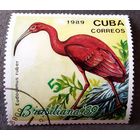 Марка Куба 1989 год Птицы