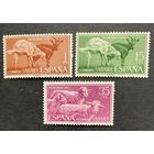 Испанские колонии. Сахара 1962. Фауна 1962 3 марки 243-245