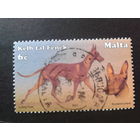 Мальта 2001 собаки