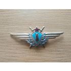 Нагрудный знак классной квалификации "Военный штурман 1-го класса". СССР, ВВС, вторая половина прошлого века.