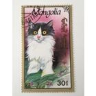 Монголия 1991. Коты и кошки