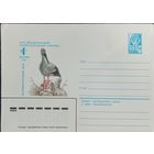 Художественный маркированный конверт СССР ХМК 1982 Аист Художник Арцименев