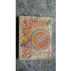 Солнечный дождь\12