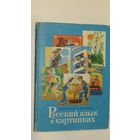 Русский язык в картинках/11