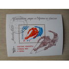 М-2. БЛОК. СССР. ЧЕМПИОНАТ МИРА И ЕВРОПЫ ПО ХОККЕЮ. МОСКВА 1979.