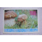 Календарик, 1988, Гриб боровик, изд. Киев.