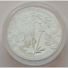 Лапчатка скальная, 20 рублей 2017, серебро, Ag 925