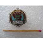 Знак. ДСШ БССР. Детская Спортивная Школа. тяжёлый