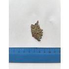 Фрагмент кокарды РИА