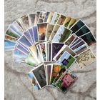 Наклейки майнкрафт Minecraft Panini много номеров