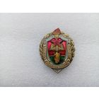 Значок (тяжёлый)