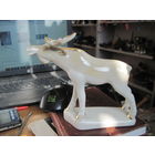 Лось, Полонное.