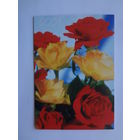 Календарик 2001 г. Дарите открытки к праздникам! Розы.