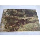 Открытка 1952г. В.Поленов. Заросший пруд.