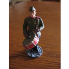 Оловянный солдатик! Военный музыкант Парад Победы