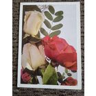 С днём рождения! Чистая. Двойная. 1977 года.худ САВАЛОВА