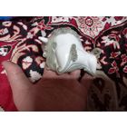 Статуэтка фарфоровая Зубр малый Клеймо МФЗ Минский Фарфоровый Завод