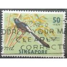 Сингапур 1962г.