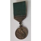 Чемпионат СССР , бронза.