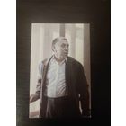 Календарик,артисты,папанов,1989